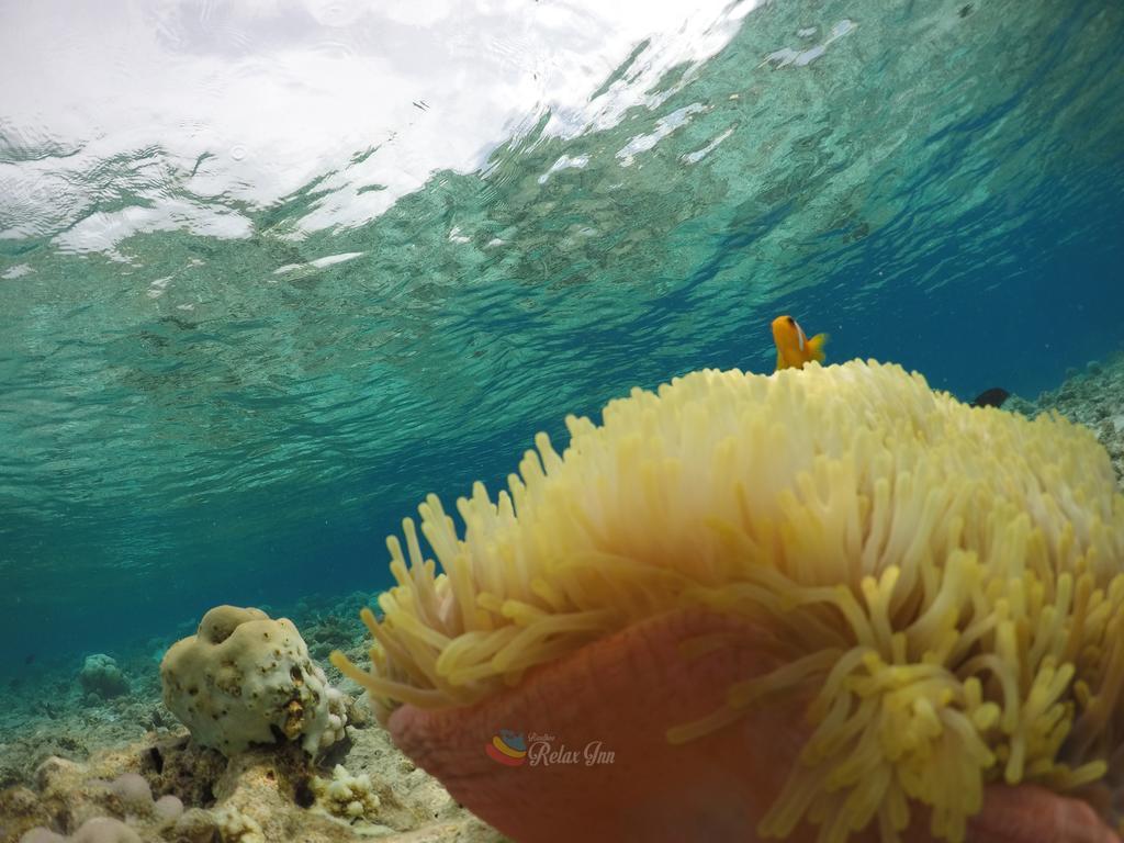Rasdhoo Relax Inn ภายนอก รูปภาพ