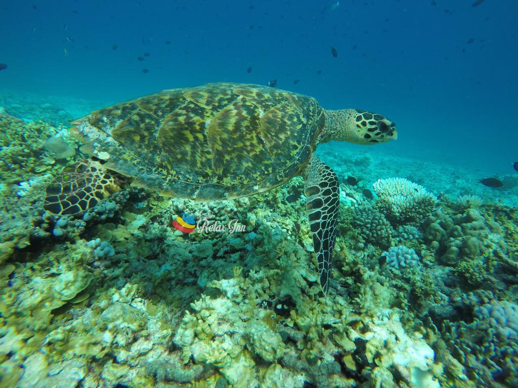 Rasdhoo Relax Inn ภายนอก รูปภาพ